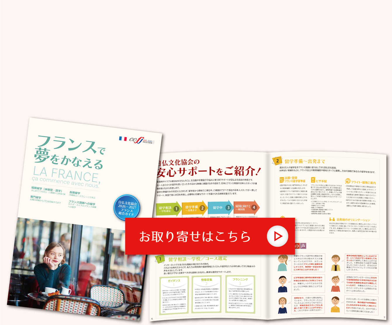 フランス総合ガイド